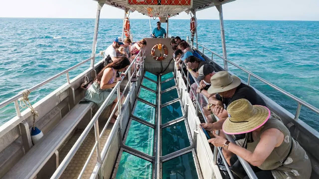 Glass Bottom Boat Tour